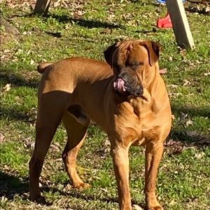 Meet your Posher, Teresa